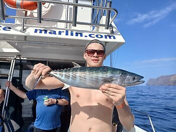 Atlantisk tunfisk White Marlin Gran Canaria