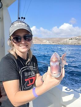 Rode Snapper Dag 🎣🎄🎣 White Marlin Gran Canaria