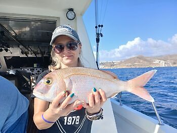 Rode Snapper Dag 🎣🎄🎣 White Marlin Gran Canaria