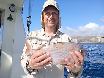 Årets siste helg Fiskere White Marlin Gran Canaria