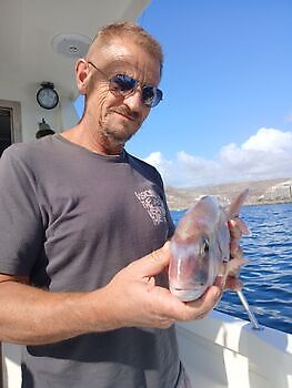 Årets siste helg Fiskere White Marlin Gran Canaria