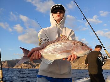 Jagi maŋimuš beaivi White Marlin Gran Canaria