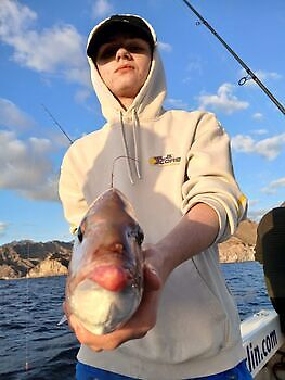 Amberjack, Red Snappers, Atlanterhavstunfisk…. White Marlin Gran Canaria