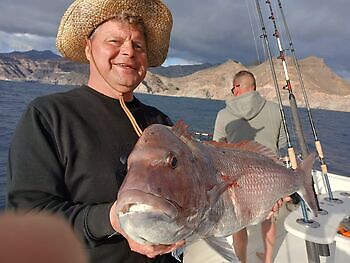 Amberjack, Red Snappers, Atlanterhavstunfisk…. White Marlin Gran Canaria