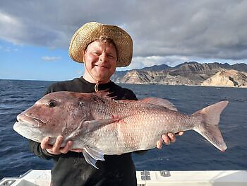 Amberjack, Red Snappers, Atlanterhavstunfisk…. White Marlin Gran Canaria