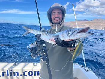 🎣🔥🎣 White Marlin Gran Canaria