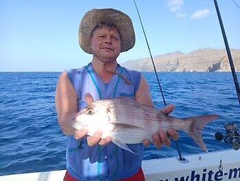 🎣🌙🎣 White Marlin Gran Canaria