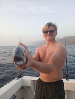 Amberjack,Red Snappers,Atlantic Tuna…. White Marlin Gran Canaria