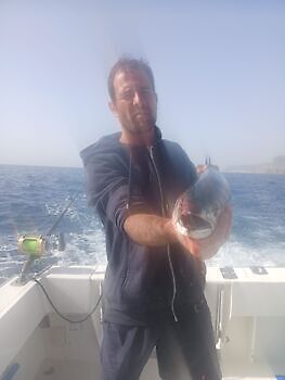 Amberjack,Red Snappers,Atlantic Tuna…. White Marlin Gran Canaria