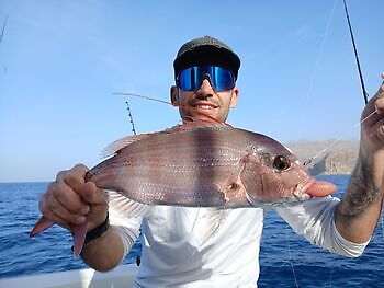 🎣🔥🎣 White Marlin Gran Canaria