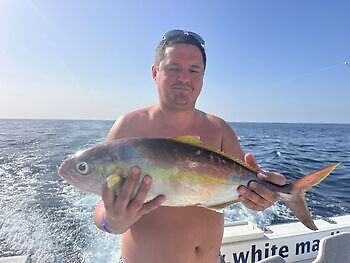 Sonne, schönes Meer, guter Fang White Marlin Gran Canaria