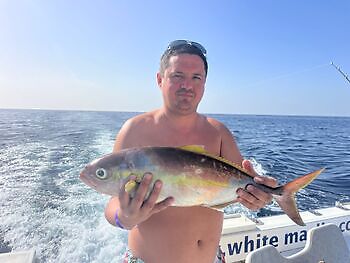 Sonne, schönes Meer, guter Fang White Marlin Gran Canaria