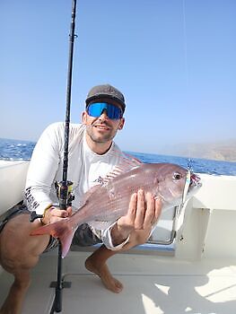 Sonne, schönes Meer, guter Fang White Marlin Gran Canaria