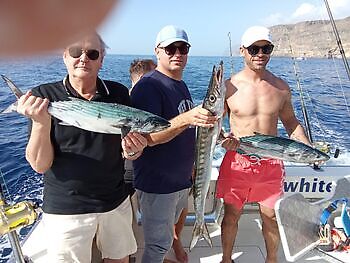 Entretenimiento nocturno🎣🌙🎣 White Marlin Gran Canaria