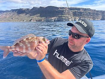 🎣💪🎣 White Marlin Gran Canaria