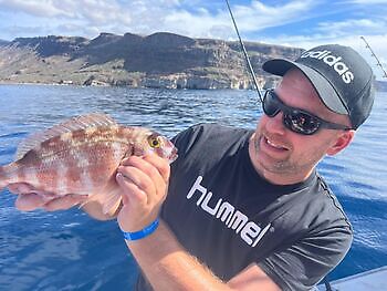 🎣💪🎣 White Marlin Gran Canaria