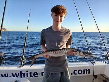 Amberjack, smørfisk🎣💪🎣 White Marlin Gran Canaria