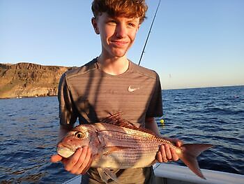 Big afternoon 🎣🔥🎣 White Marlin Gran Canaria