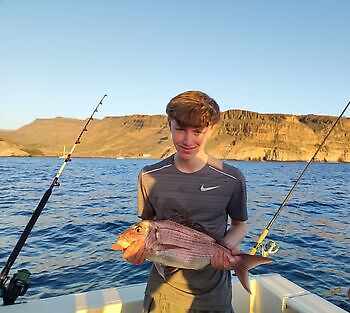 Big afternoon 🎣🔥🎣 White Marlin Gran Canaria