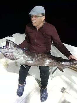 Fin søndag White Marlin Gran Canaria