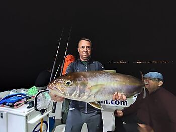 Amberjack, smørfisk🎣🔥🎣 White Marlin Gran Canaria