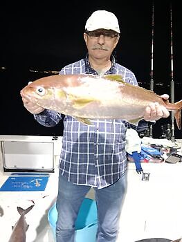 Amberjack, smørfisk🎣🔥🎣 White Marlin Gran Canaria