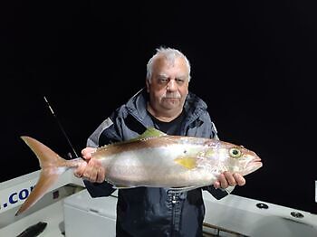 Sen måndagskväll White Marlin Gran Canaria