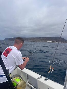 Tisdag kallt, blåst... White Marlin Gran Canaria