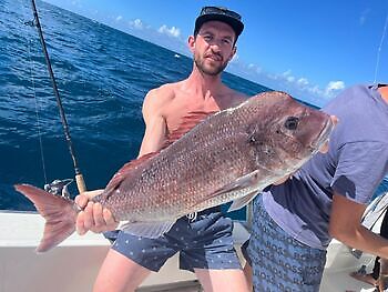 Stor rød snapper White Marlin Gran Canaria