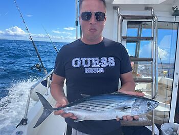 Tappa aldrig tron White Marlin Gran Canaria