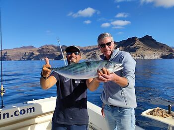 Nice Sunday White Marlin Gran Canaria