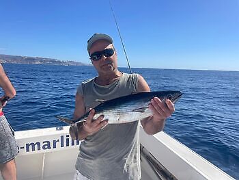 Hei januar White Marlin Gran Canaria