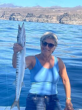 Hei januar White Marlin Gran Canaria