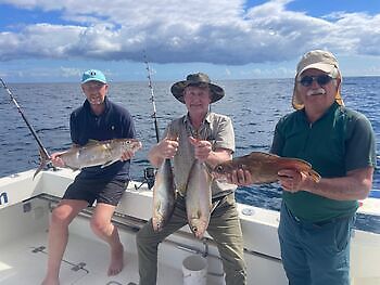 Day of amberjacks!!! White Marlin Gran Canaria