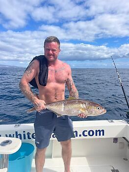 Day of amberjacks!!! White Marlin Gran Canaria