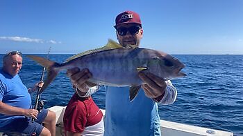 Various Fishing White Marlin Gran Canaria