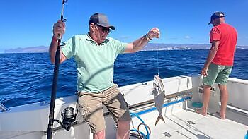 Various Fishing White Marlin Gran Canaria