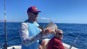 Various Fishing White Marlin Gran Canaria