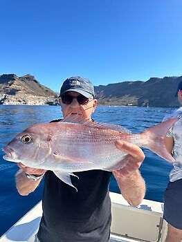 There is less left!! White Marlin Gran Canaria