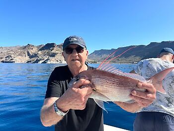 There is less left!! White Marlin Gran Canaria