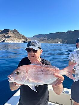 There is less left!! White Marlin Gran Canaria