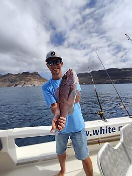 Vi fortsätter med tur och bra fiske!! White Marlin Gran Canaria