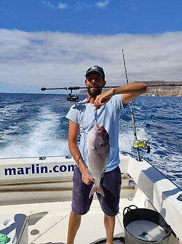 Vi fortsätter med tur och bra fiske!! White Marlin Gran Canaria