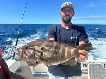 Congratulations fishermen!!! White Marlin Gran Canaria