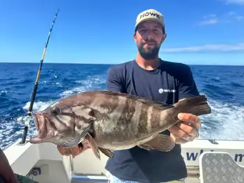 Congratulations fishermen!!! White Marlin Gran Canaria