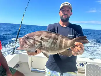 Congratulations fishermen!!! White Marlin Gran Canaria