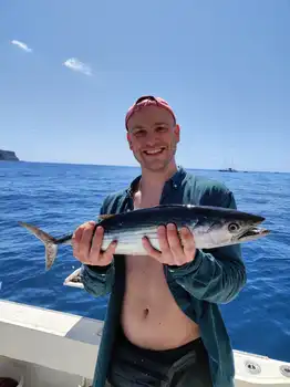 Schöne Aufnahmen, viele Schlachten!!! White Marlin Gran Canaria