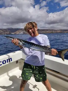 Schöne Aufnahmen, viele Schlachten!!! White Marlin Gran Canaria