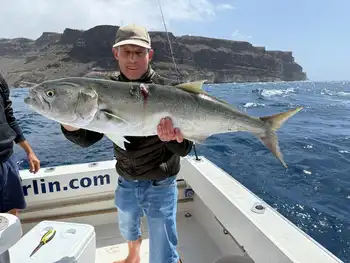 Blauwe vis White Marlin Gran Canaria