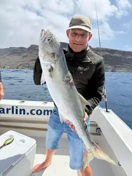 Blauwe vis White Marlin Gran Canaria